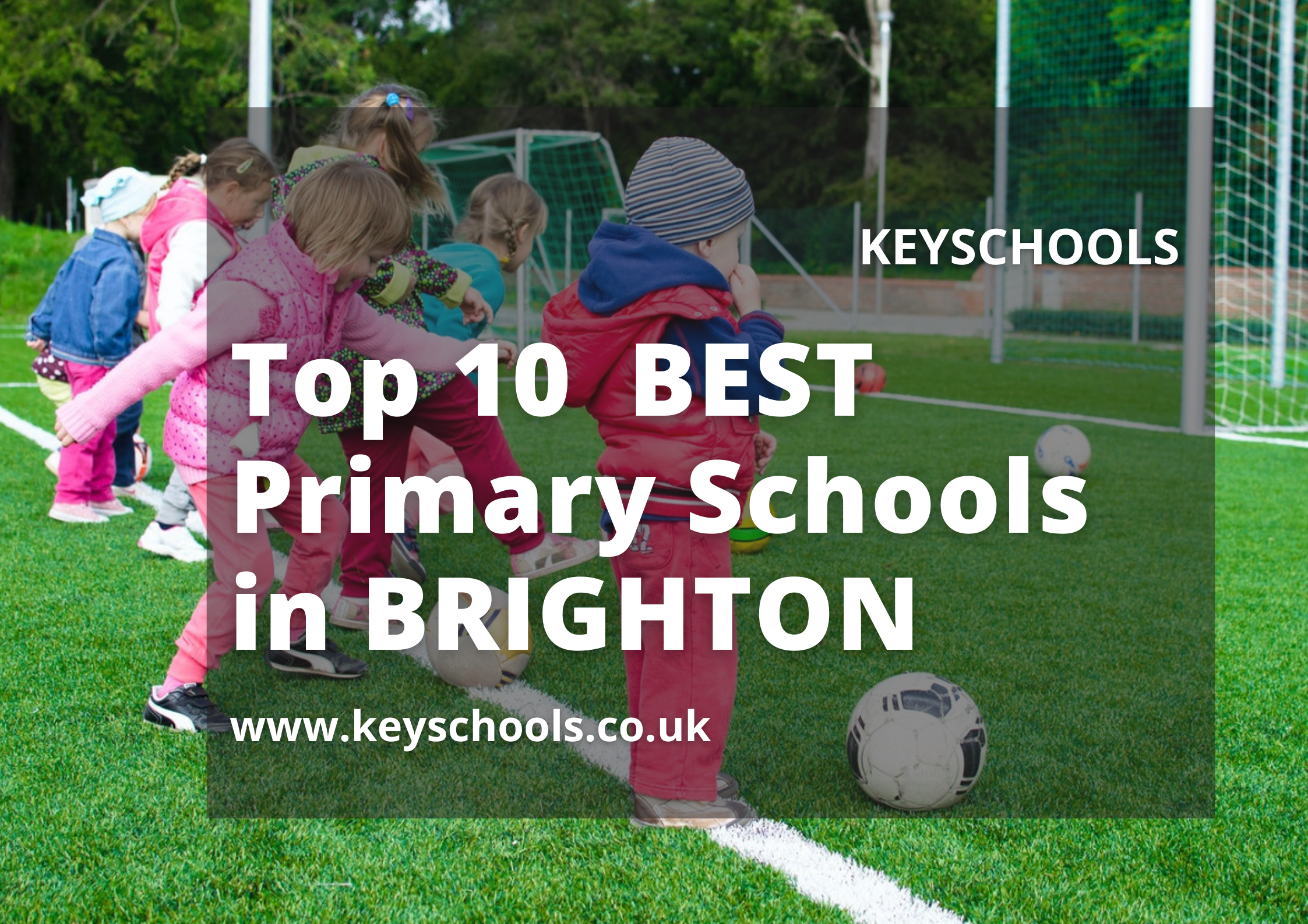 Primary schools in brighton