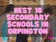Secondary Schools in Orpington