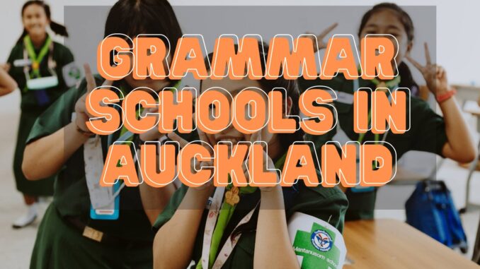Grammar Schools in Auckland